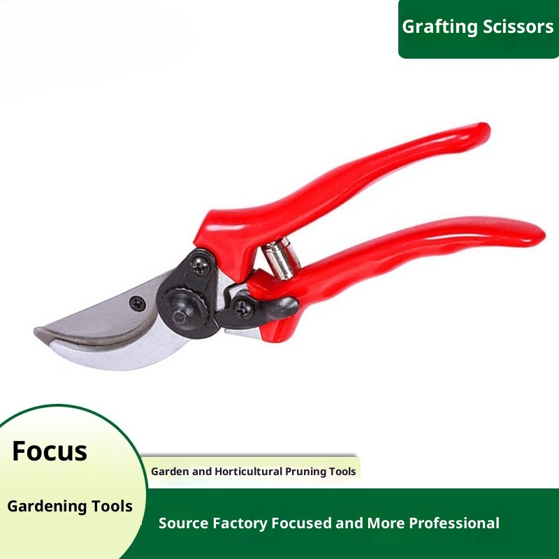 Gardening Tools Quality - プレミアム接ぎ木剪定鋏 輸入高品質庭園盆栽鋏 家庭用卸売園芸剪定工具 家庭用