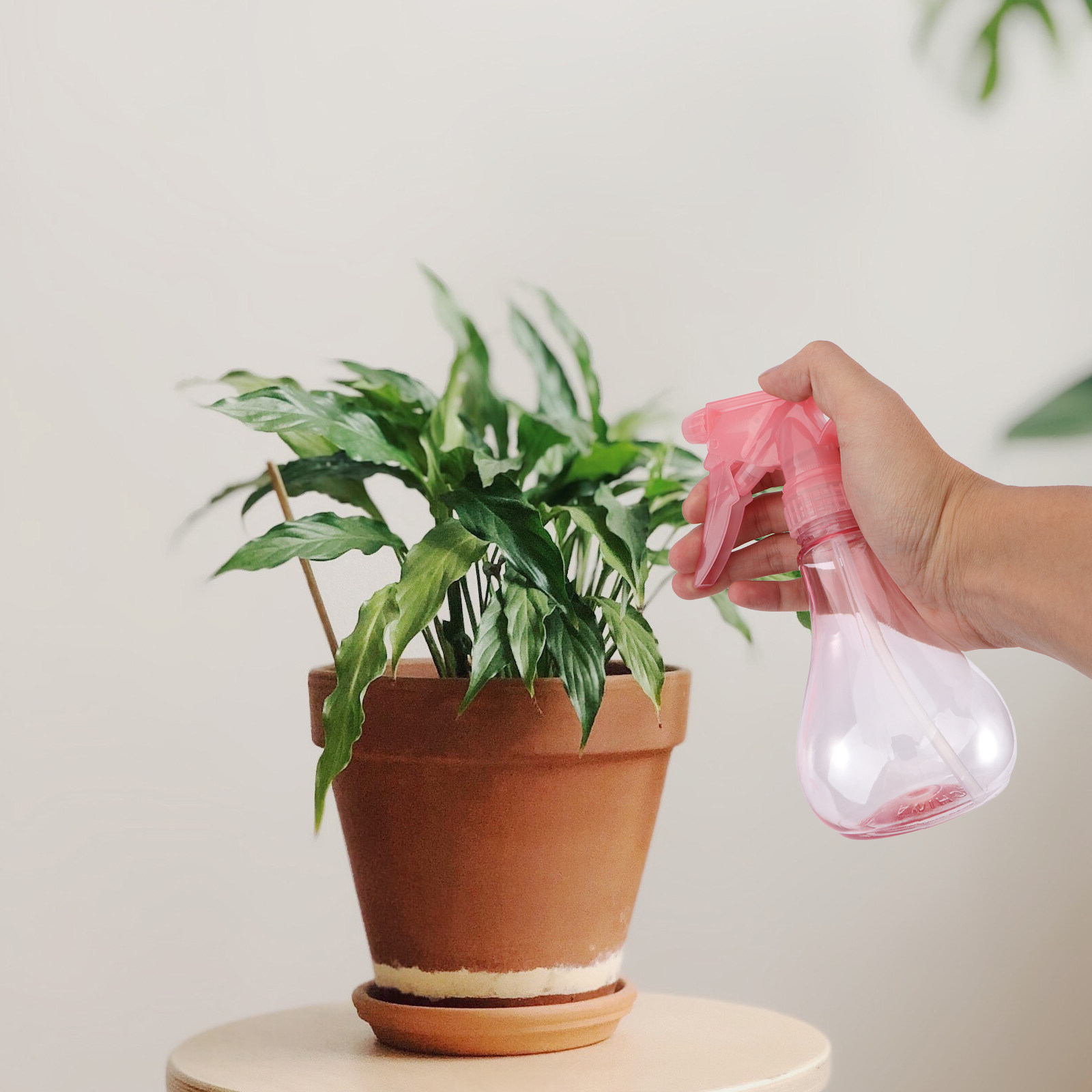 ミニ多肉植物植え付けツールキット1セット、ガーデン植え付けツ - Gardening Tools And Accessories のレビューと価格
