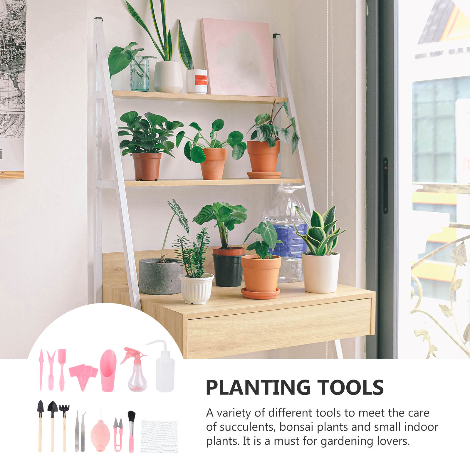 ミニ多肉植物植え付けツールキット1セット、ガーデン植え付けツ - Gardening Tools And Accessories のレビューと価格