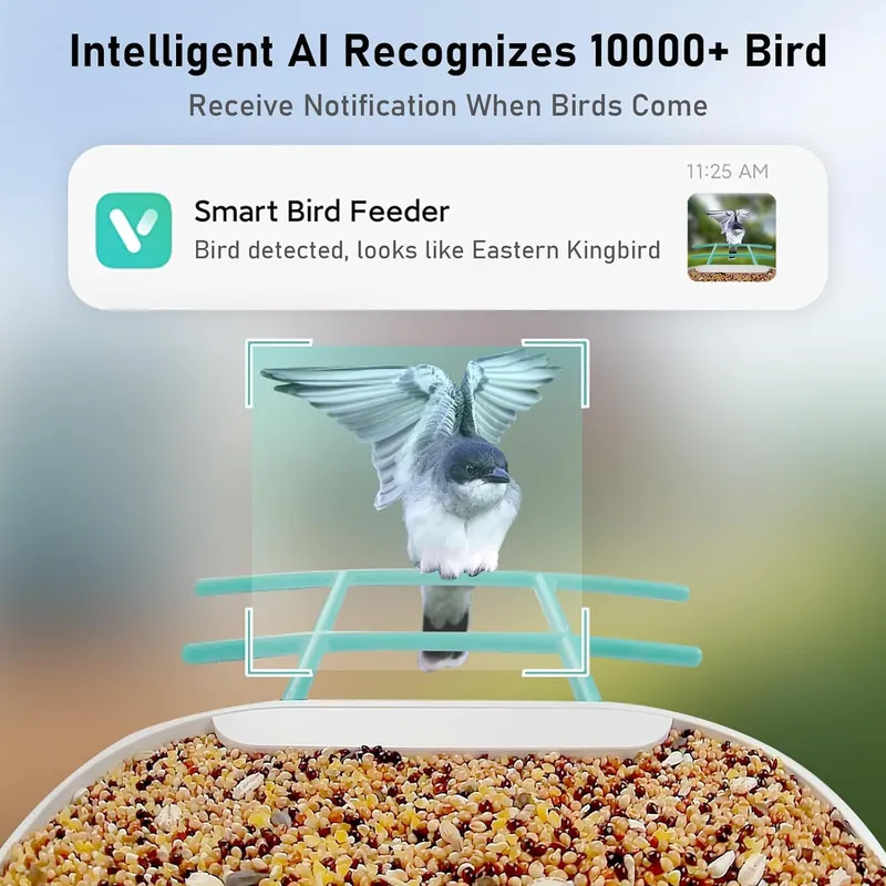 AI認識機能付きスマートバードフィーダーカメラ HDビデオ  - Gardening Tools Video のレビューと価格
