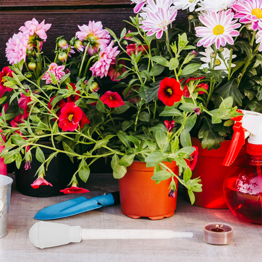 3個入り植木鉢用吸水トレイ、水切りツール、過剰な水やりを防ぐ - Gardening Tools And Accessories のレビューと価格