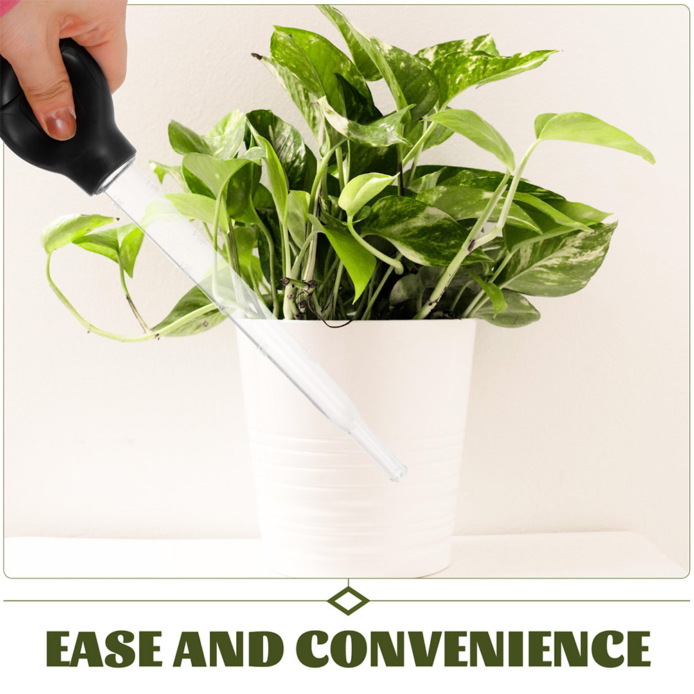 3個入り植木鉢用吸水トレイ、水切りツール、過剰な水やりを防ぐ - Gardening Tools And Accessories のレビューと価格