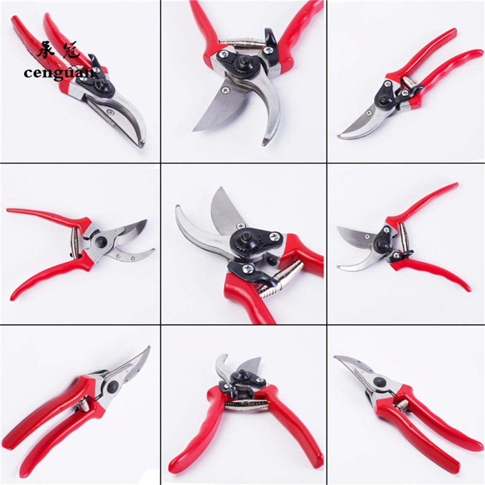 プレミアム接ぎ木剪定鋏 輸入高品質庭園盆栽鋏 家庭用卸売園芸 - Gardening Tools Quality のレビューと価格