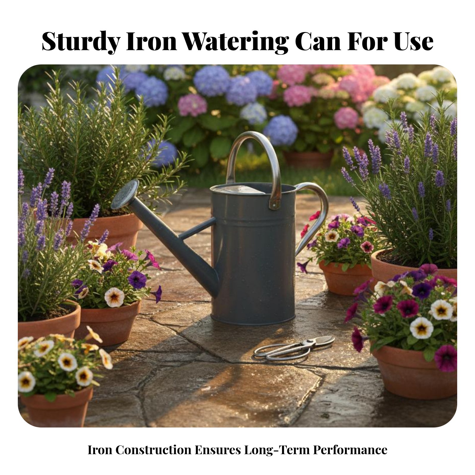 5L ガーデン水まきポット 頑丈な水まき缶 スプリンクラーヘ - Gardening Tools Watering Can のレビューと価格