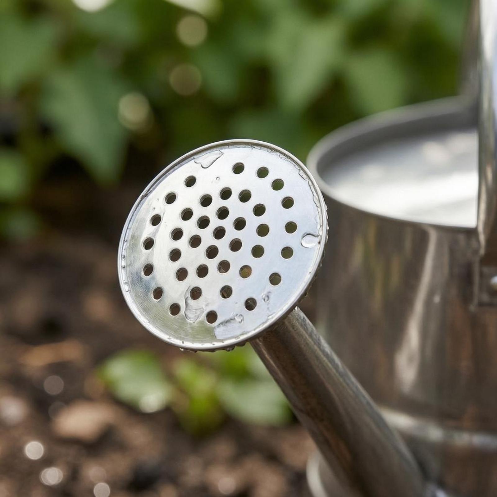 庭の花の水やり缶 ステンレス製 丈夫な植物用じょうろ 長い注 - Gardening Tools Watering Can のレビューと価格