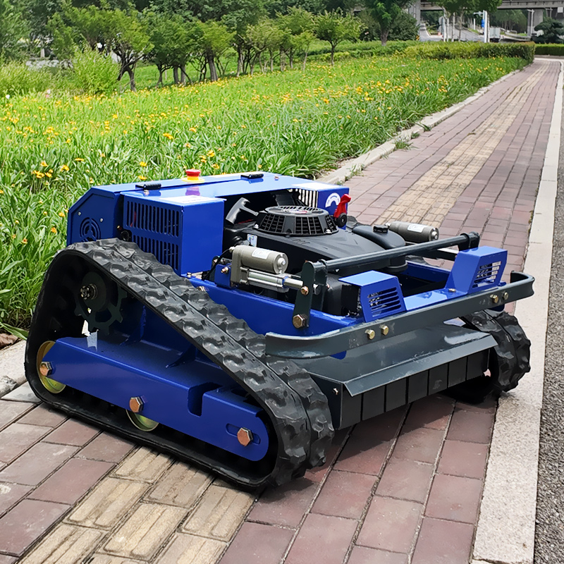 カスタマイズ可能なCE EPA認証小型ロボット草刈機、500 - Gardening Tools Lawn Mower のレビューと価格